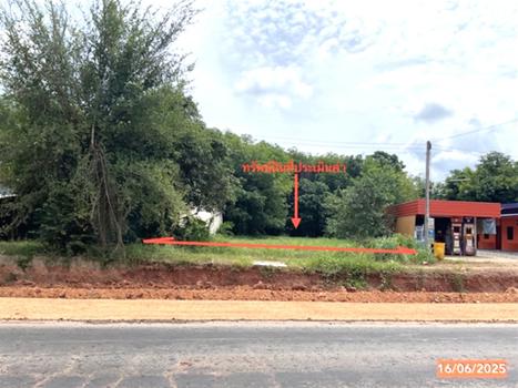 picture LAND 164 Sq.w. Thung Yai Nakhon Sri Thammarat for 1.1M - 9/12