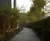listing thumbnail image 19