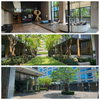 listing thumbnail image 14