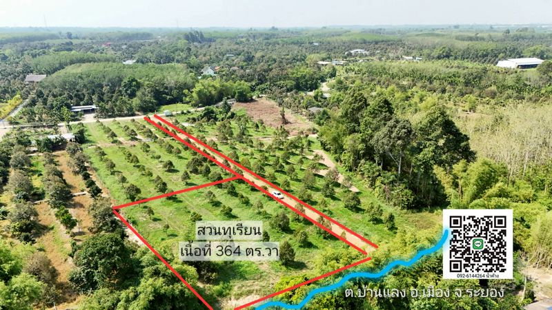 รูป ขายสวนทุเรียน ติดลำธาร อยู่ในเมืองระยอง เนื้อที่ 364 ตรว. ใกล้แหล่งชุมชน ราคา 1.39 ลบ - รูปที่ 5/6