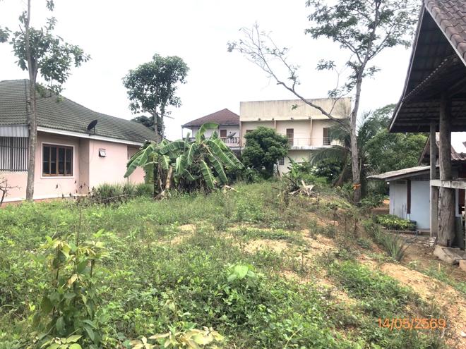 picture LAND 182.2 Sq.w. Prasaeng Surat Thani for 877,000 - 11/26