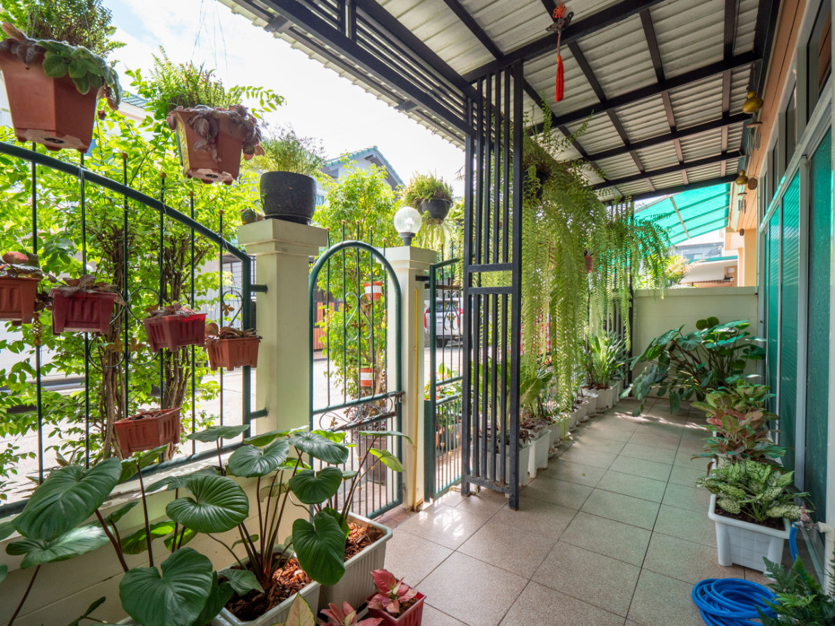 รูป ขายบ้านแฝด หมู่บ้านหงส์ประยูร 3 ราคาดีที่สุดในโครงการ บ้านสวย รายล้อมด้วยต้นไม้นานาพันธุ์ ร่มรื่นน่าอยู่มากๆ - รูปที่ 15/83