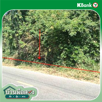 picture LAND 424 Sq.w. Yang Si Surat Maha Sarakham for 848,000 - 13/15