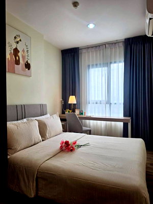 Condos for sale : Hot sale : Niche MONO Sukhumvit - Bearing 1 bedroom 1 bathroom