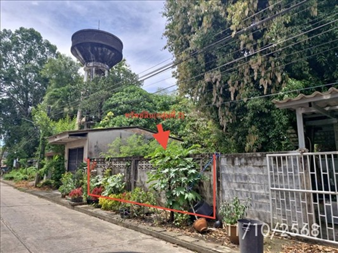 picture LAND 28 Sq.w. Chawang Nakhon Sri Thammarat for 3.5M - 4/8