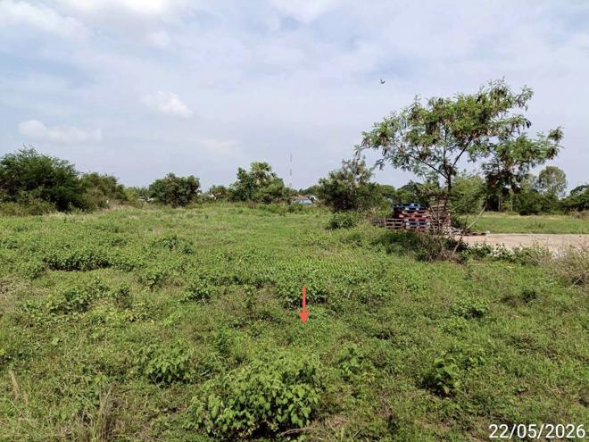 picture LAND 1355 Sq.w. Chiang Yun Maha Sarakham for 5.5M - 4/14
