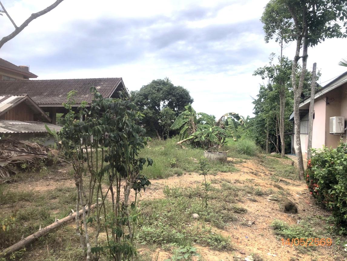 picture LAND 182.2 Sq.w. Prasaeng Surat Thani for 877,000 - 19/26