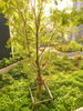 listing thumbnail image 22
