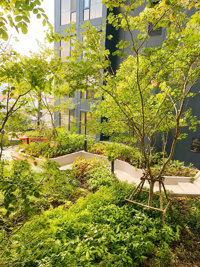 รูป Rare Item! ชั้น 8 วิวสวน🌿 เครื่องใช้ไฟฟ้าครบ (มีเครื่องซักผ้า) ใกล้ MRT บางขุนนนท์ - รูปที่ 14/14