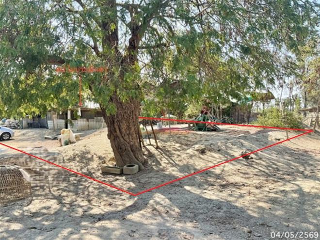 picture LAND 110 Sq.w. Muang Phetchaburi Petchburi for 495,000 - 4/11