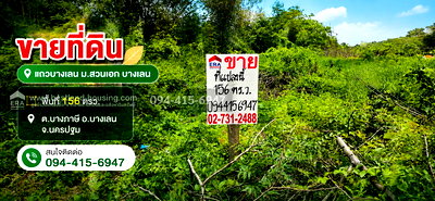 ที่ดิน รังสิต : ขายที่ดินแถวบางเลน ม.สวนเอก 156 ตรว. ต.บางภาษี อ.บางเลน จ.นครปฐม
