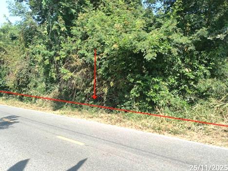 picture LAND 424 Sq.w. Yang Si Surat Maha Sarakham for 848,000 - 12/15