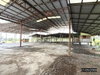 listing thumbnail image 21