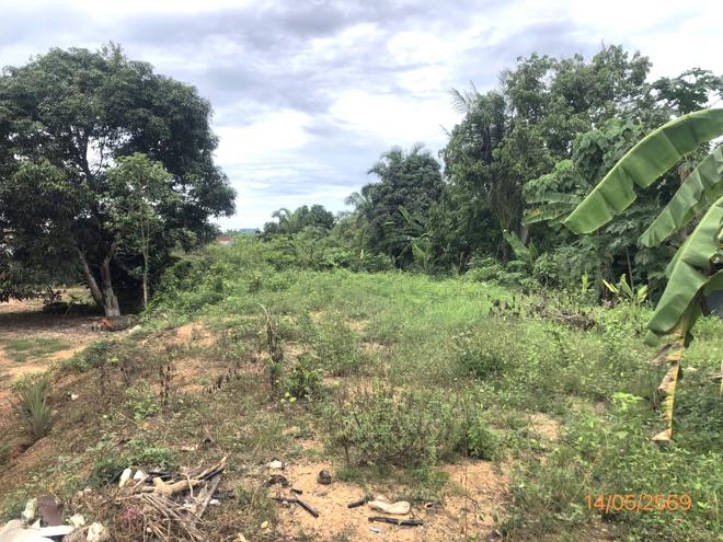 picture LAND 182.2 Sq.w. Prasaeng Surat Thani for 877,000 - 3/26