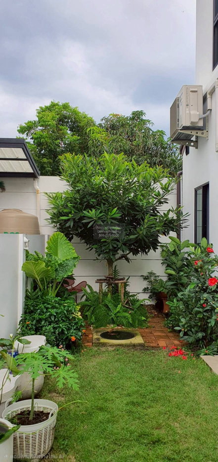 รูป ขายบ้าน เรสท์ บางใหญ่ บ้านใหม่ บางใหญ่ นนทบุรี CX-159517 ✅ ทักไลน์ @connexproperty ตอบทันที ทีมงานมืออาชีพ ✅ - รูปที่ 2/12