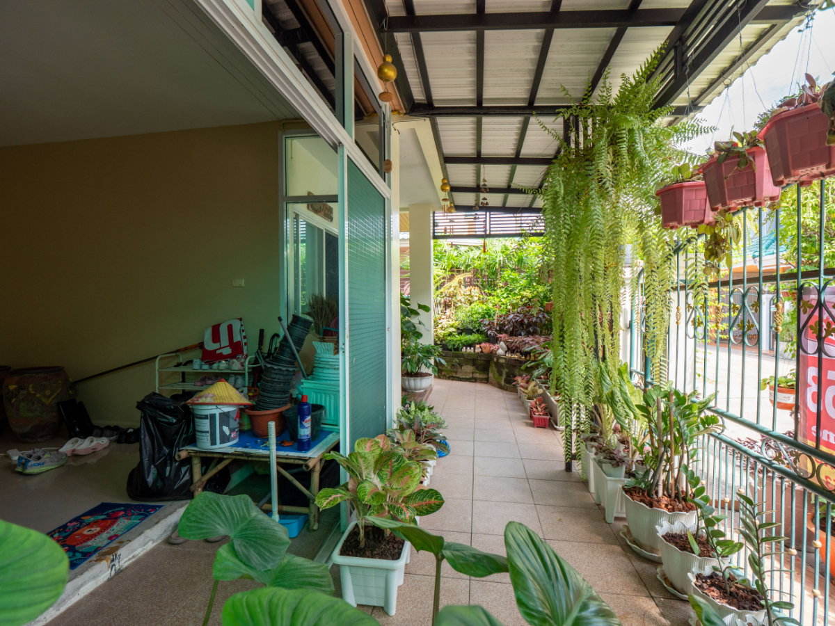 รูป ขายบ้านแฝด หมู่บ้านหงส์ประยูร 3 ราคาดีที่สุดในโครงการ บ้านสวย รายล้อมด้วยต้นไม้นานาพันธุ์ ร่มรื่นน่าอยู่มากๆ - รูปที่ 21/83