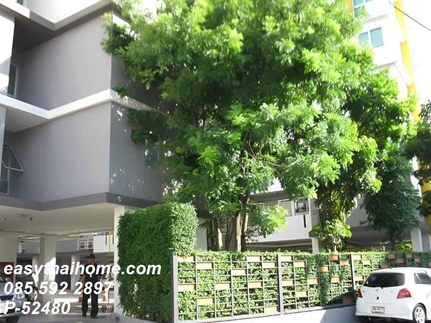 รูป P-52480 ให้เช่าคอนโดใกล้ BTS อ่อนนุช มายคอนโด สุขุมวิท 52 ห้องสตูดิโอ ชั้น8 เฟอร์ครบ มีเครื่องซักผ้า Line: @easythaihome 085-592-2897 - รูปที่ 11/13