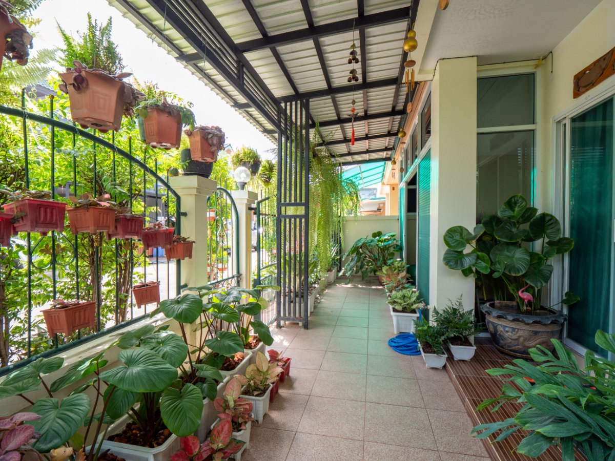 รูป ขายบ้านแฝด หมู่บ้านหงส์ประยูร 3 ราคาดีที่สุดในโครงการ บ้านสวย รายล้อมด้วยต้นไม้นานาพันธุ์ ร่มรื่นน่าอยู่มากๆ - รูปที่ 13/83