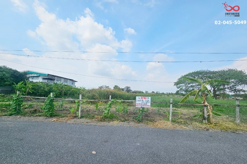 รูป ขายที่ดิน 360 ตรว. ลาดกระบัง - หลวงแพ่ง ถนนขุมทอง-ลำต้อยติ่ง  - รูปที่ 4/7