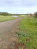 listing thumbnail image 10