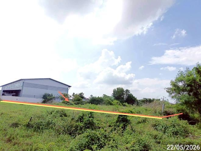 picture LAND 1355 Sq.w. Chiang Yun Maha Sarakham for 5.5M - 3/14