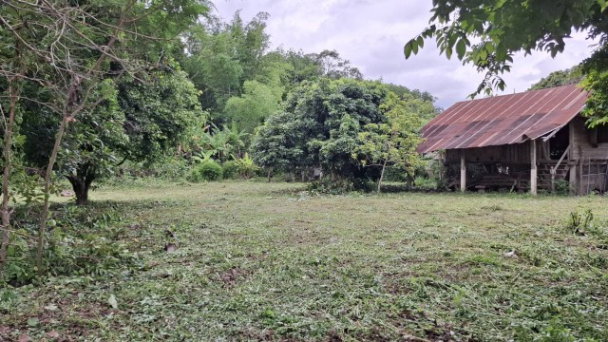 รูป ขายที่ดิน 1 ไร่กว่า ต.สันทราย เมืองเชียงราย ถมแล้ว ฟรีโอน เหมาะสร้างบ้านและรีสอร์ท - รูปที่ 4/8