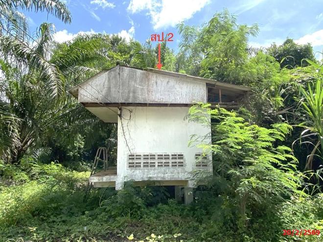รูป บ้านเดี่ยว 126.4 ตร.วา นาบอน นครศรีธรรมราช 1.5M - รูปที่ 9/22