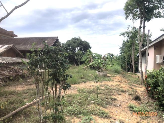 picture LAND 182.2 Sq.w. Prasaeng Surat Thani for 877,000 - 8/26