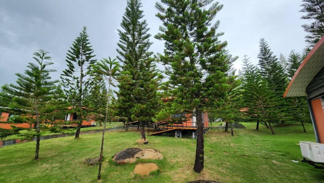 รูป ขายที่ดินโฉนดเขาใหญ่แปลงสวยวิวเขาล้อม เดินทางสะดวกติดถนน - รูปที่ 2/18