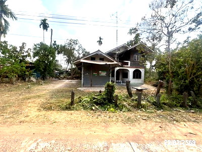 บ้านเดี่ยว สุรินทร์ : บ้านเดี่ยว 104 ตร.วา ลำดวน สุรินทร์ 345,000