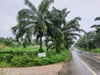 listing thumbnail image 11
