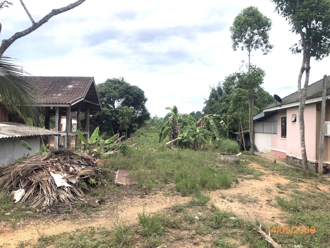 picture LAND 182.2 Sq.w. Prasaeng Surat Thani for 877,000 - 18/26