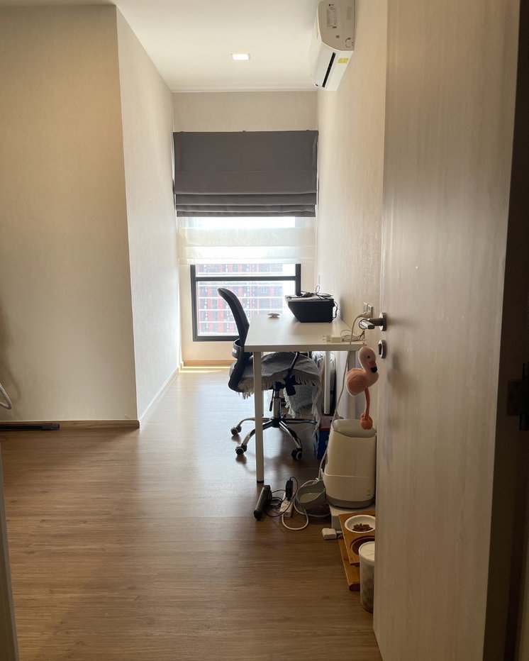 picture Cats are welcome. High floor, 20th floor, large room, 50 sq m. - 2/4