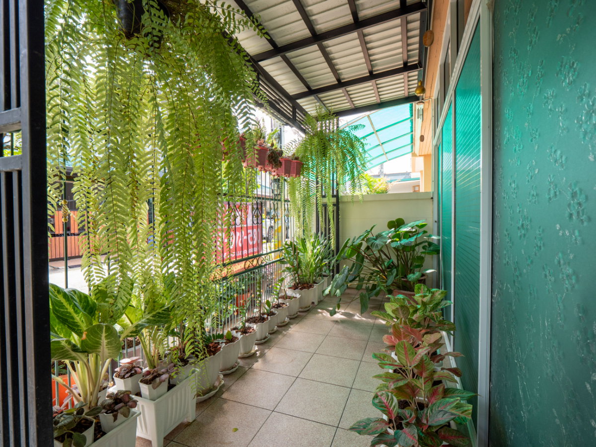 รูป ขายบ้านแฝด หมู่บ้านหงส์ประยูร 3 ราคาดีที่สุดในโครงการ บ้านสวย รายล้อมด้วยต้นไม้นานาพันธุ์ ร่มรื่นน่าอยู่มากๆ - รูปที่ 18/83