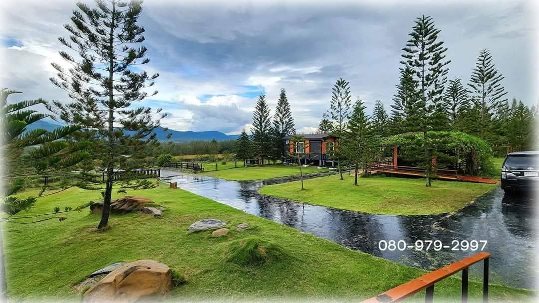 รูป ขายที่ดินโฉนดเขาใหญ่แปลงสวยวิวเขาล้อม เดินทางสะดวกติดถนน - รูปที่ 3/18