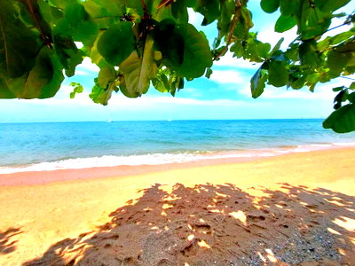 ขายที่ดิน : Land for Sale Bang Saray Pattaya Near Bang Saray Beach