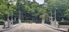 listing thumbnail image 41