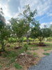 listing thumbnail image 11