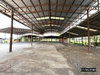 listing thumbnail image 43