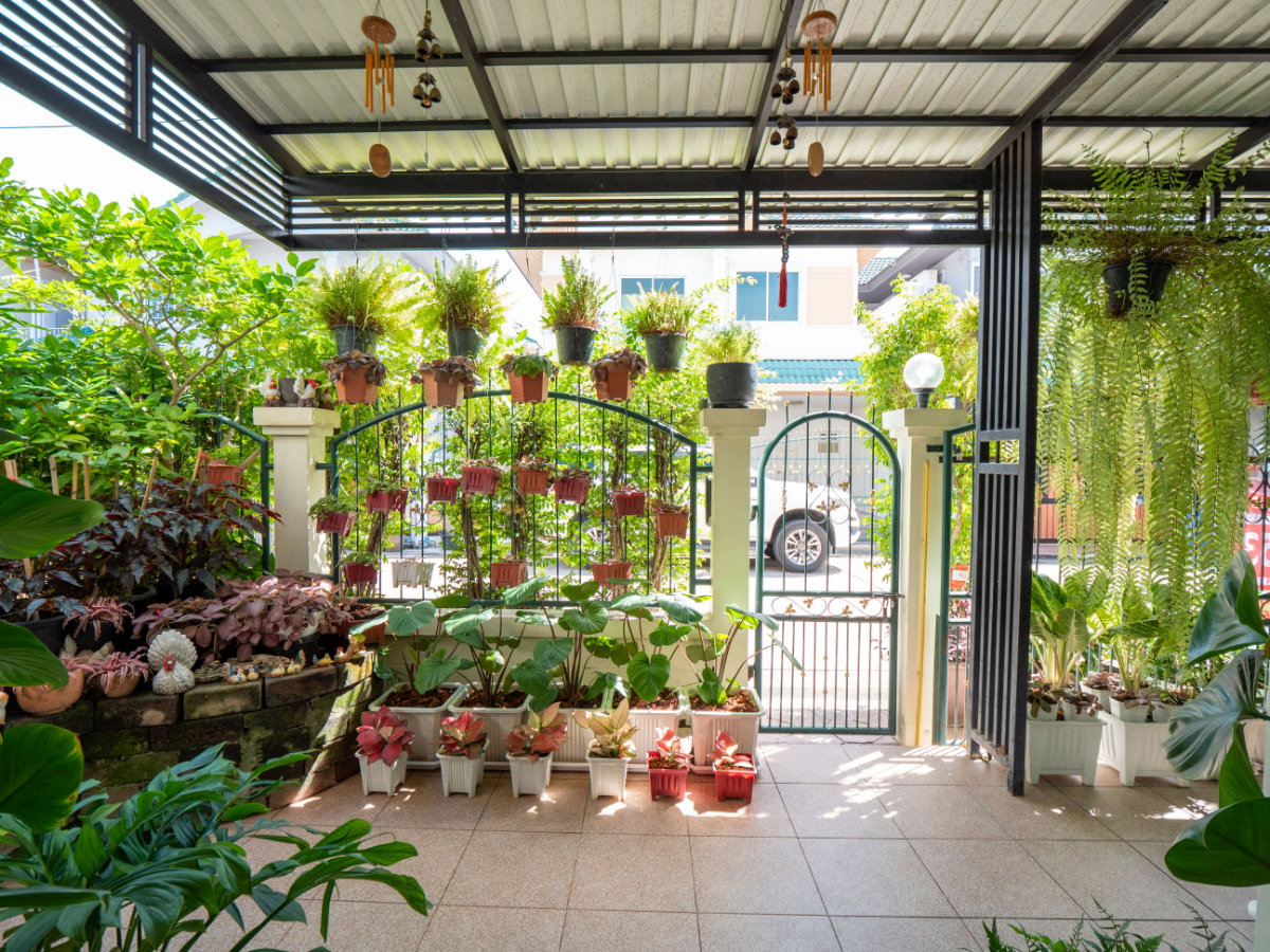 รูป ขายบ้านแฝด หมู่บ้านหงส์ประยูร 3 ราคาดีที่สุดในโครงการ บ้านสวย รายล้อมด้วยต้นไม้นานาพันธุ์ ร่มรื่นน่าอยู่มากๆ - รูปที่ 12/83