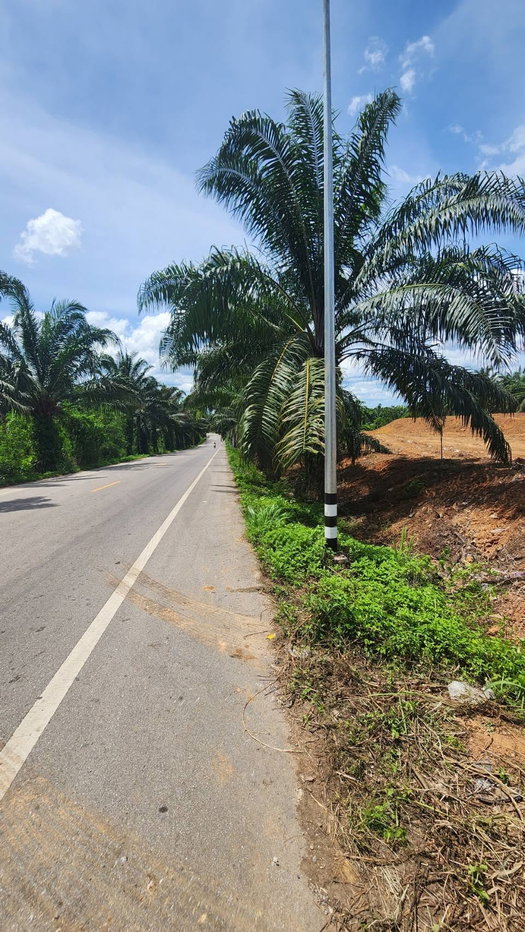 รูป ขายที่ดิน เอกสารสิทธิ์ หน้ากว้างติดถนน ต.สุลย อ.ท่าแซะ จ.ชุมพร - รูปที่ 2/12