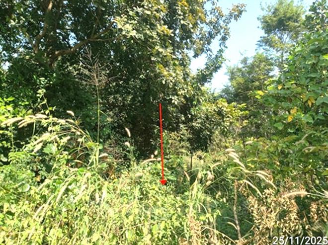 picture LAND 424 Sq.w. Yang Si Surat Maha Sarakham for 848,000 - 5/15