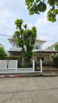 ให้เช่าบ้านเดี่ยว หมู่บ้านเพอร์เฟค เพลส สุขุมวิท 77- สุวรรณภูมิ เฟส 4