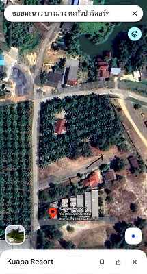 Land for sale Takua Pa Phangnga : Beautiful Plots for Sale in Takua Pa – Near Main Road & Hospital (Owner Sale)