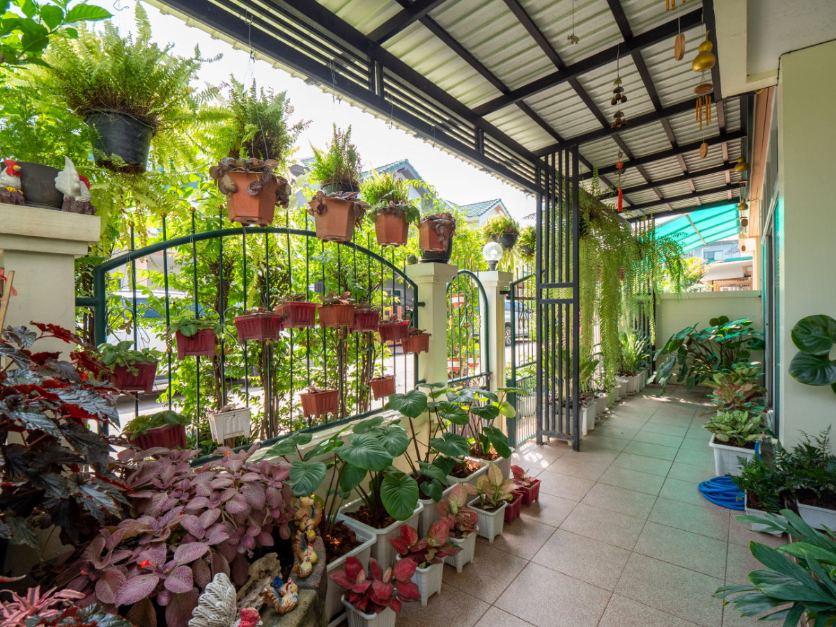 รูป ขายบ้านแฝด หมู่บ้านหงส์ประยูร 3 ราคาดีที่สุดในโครงการ บ้านสวย รายล้อมด้วยต้นไม้นานาพันธุ์ ร่มรื่นน่าอยู่มากๆ - รูปที่ 14/83