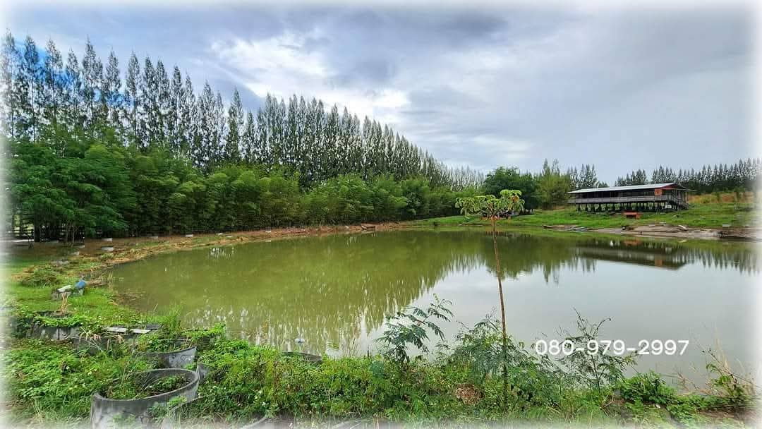 รูป ขายที่ดินโฉนดเขาใหญ่แปลงสวยวิวเขาล้อม เดินทางสะดวกติดถนน - รูปที่ 13/18