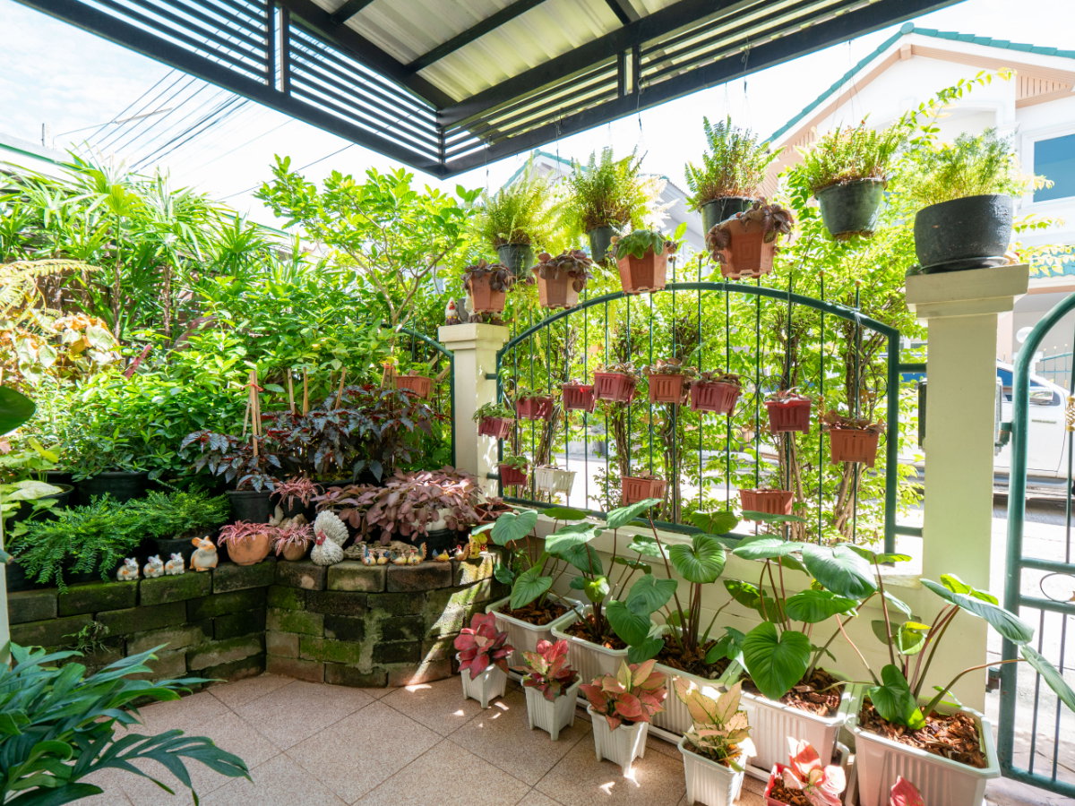รูป ขายบ้านแฝด หมู่บ้านหงส์ประยูร 3 ราคาดีที่สุดในโครงการ บ้านสวย รายล้อมด้วยต้นไม้นานาพันธุ์ ร่มรื่นน่าอยู่มากๆ - รูปที่ 11/83