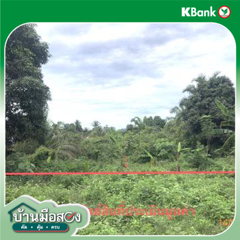 picture LAND 182.2 Sq.w. Prasaeng Surat Thani for 877,000 - 24/26