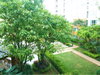 listing thumbnail image 9