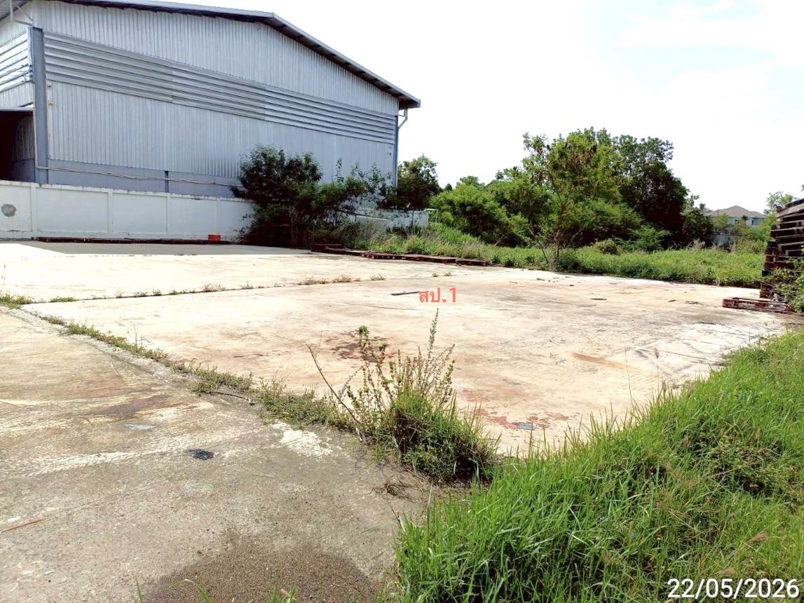 picture LAND 1355 Sq.w. Chiang Yun Maha Sarakham for 5.5M - 10/14